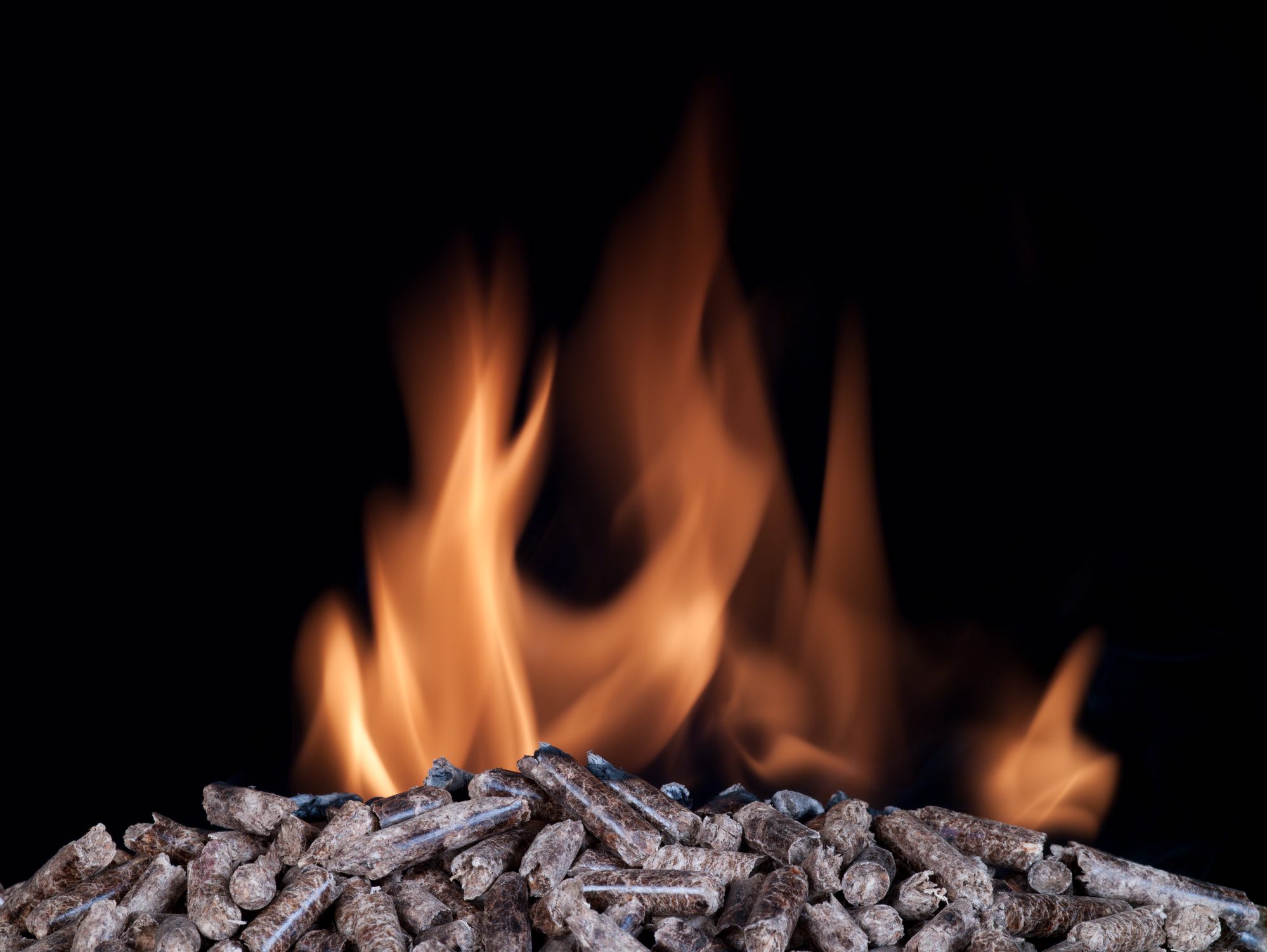 A pile of Carbon Neutral, clean-energy wood pellets burning in front of a black background.