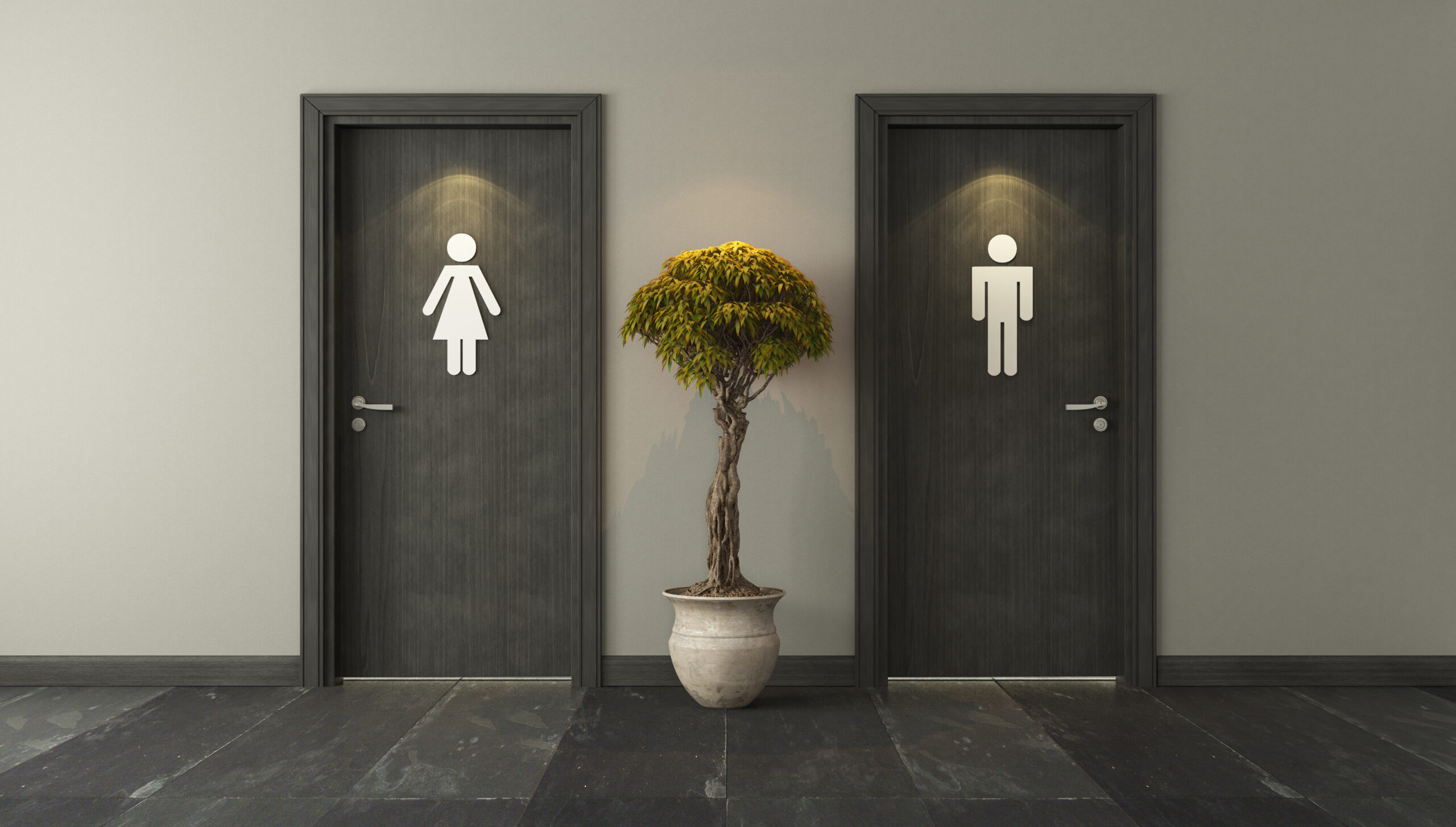 Plumbing maintenance and installation for commercial property.