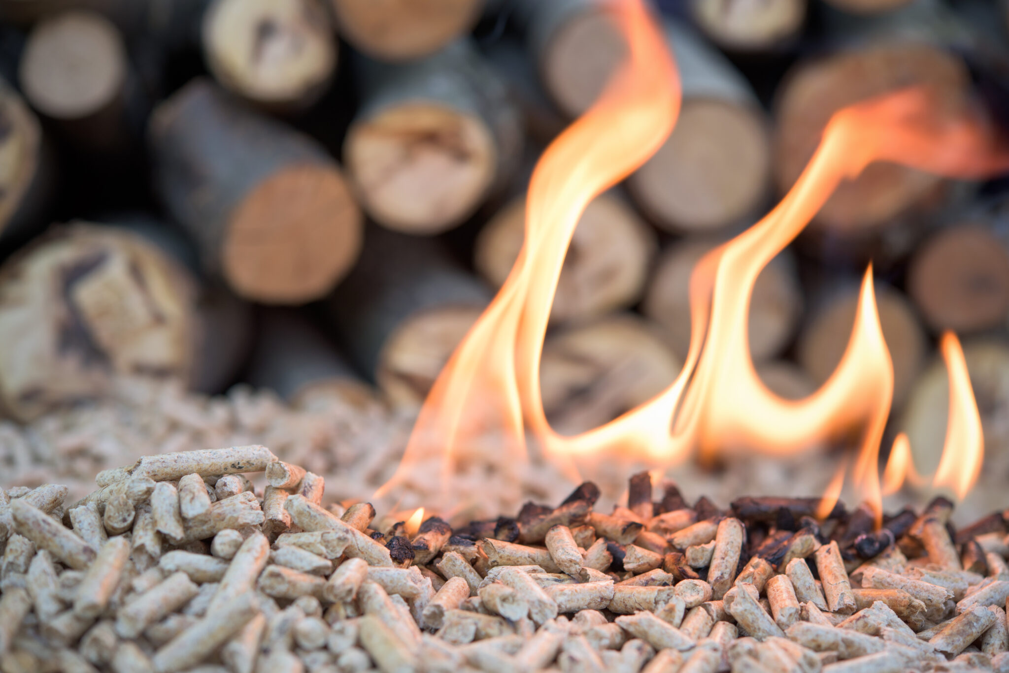 Biomass Boiler Services